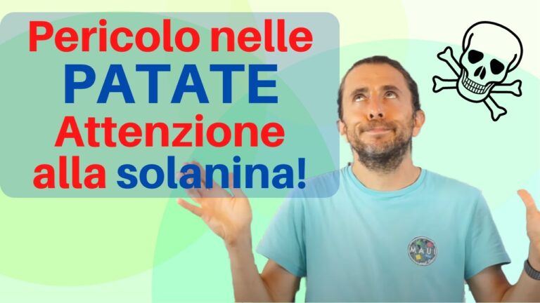 Melanzane in Gravidanza: Benefici e Cautela