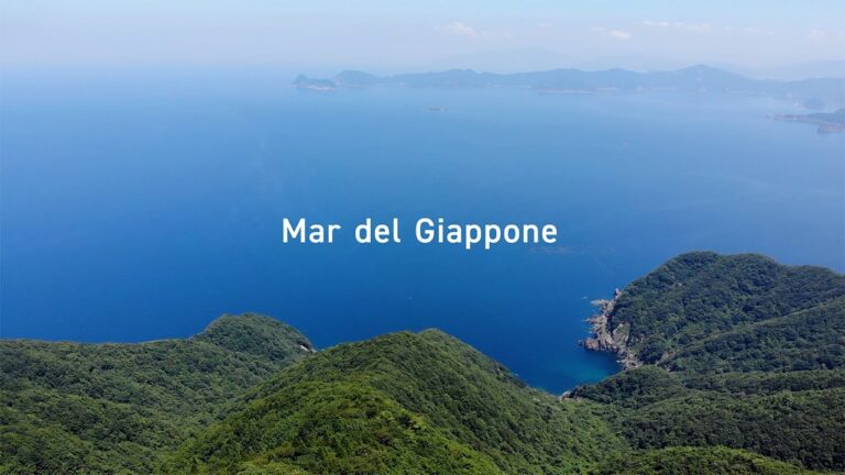 Guida ottimizzata per il test MAR