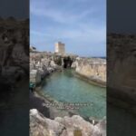 Guida al Progetto Ponteggio: Ottimizzazione e Concisione