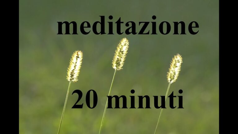 Allergia al Phleum Pratense: Sintomi e Trattamenti