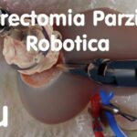 Guida alla Certificazione Internazionale di Alfabetizzazione Digitale