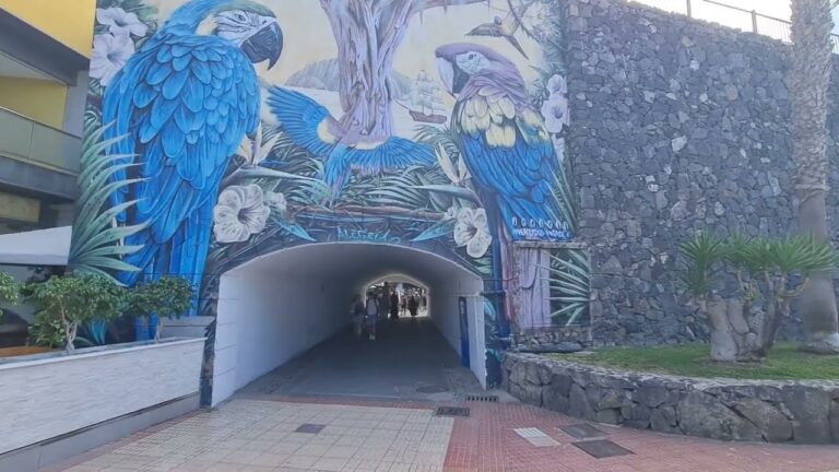 La Spiaggia dei Gu&iacute;os: Un Paradiso Nascosto a Tenerife
