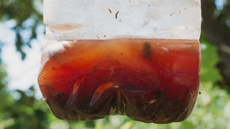 Plastica naturale: Il Cruciverba della Sostenibilità
