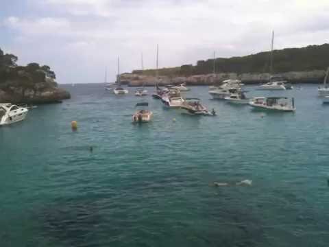 Guida completa a Cala Mondrago: spiagge, natura e attività