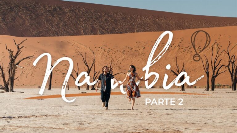 Segreti del Deserto Namib: Un Viaggio Incantato