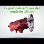 Polipo Anale Esterno: Cause, Sintomi e Trattamento