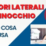 Ciambelle MC: Il Delizioso Mondo delle Ciambelle Artigianali