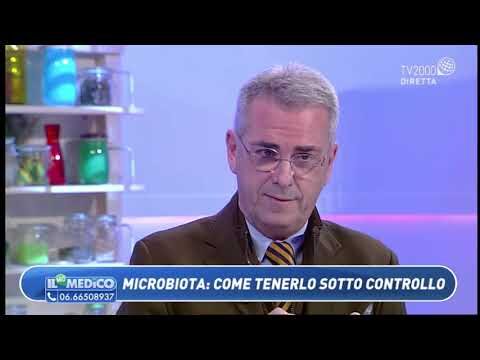 I fermenti lattici e il fegato: Rischi per la salute?