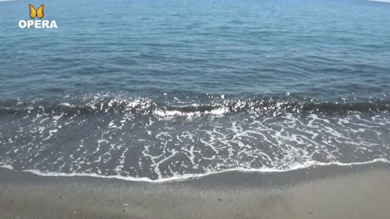 Le meraviglie delle spiagge del Mingardo