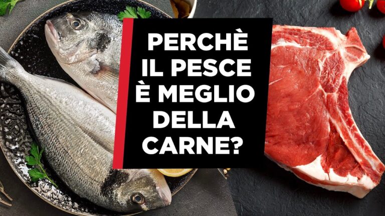 Pesce: l’opzione proteica ottimale