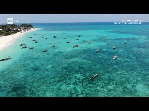 Esplorare l’Isola di Zanzibar: Guida Ottimizzata