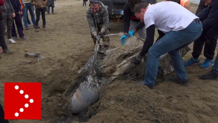 Migliori Stabilimenti Balneari sulla Spiaggia Feniglia