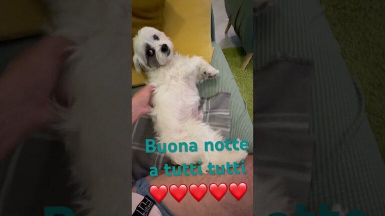 Notte a Tutti: Un’Esperienza Unica da Non Perdere