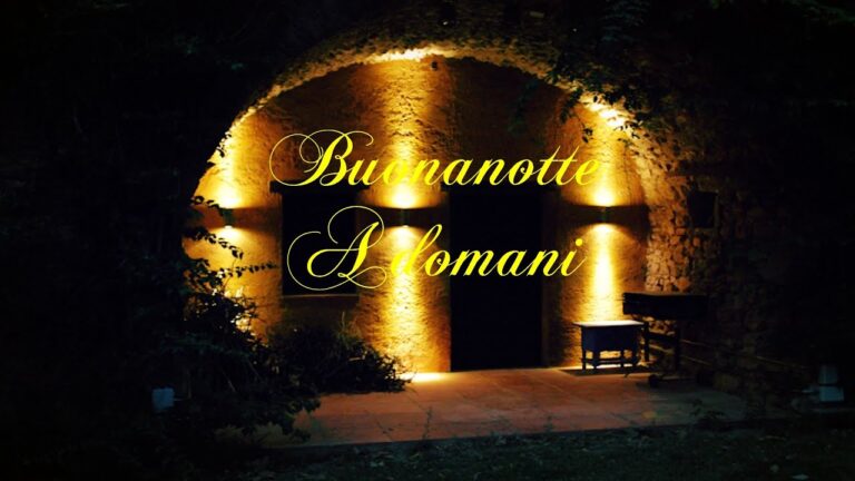 Buonanottea Domani: La Chiave per un Sonno Riposante e una Giornata Produttiva