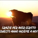 Ottimizzazione dei Costi per le Radiografie Toraciche
