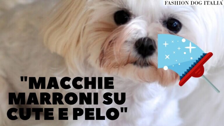 Cacca Nera nei Cani: Cause, Sintomi e Cura