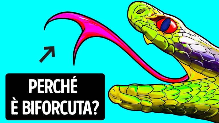Veleno Linguistico: Un’Analisi Ottimizzata