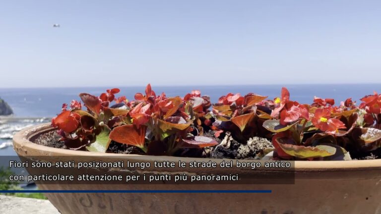Agropoli Vecchia: Un Viaggio nel Passato