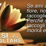 Pu&ograve; Sostituirlo un Alternativo?