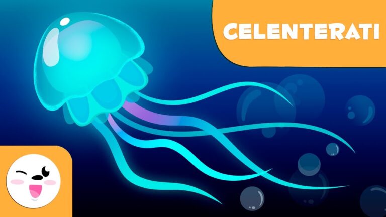 Gli Animali Meduse: Un Approfondimento Ottimizzato