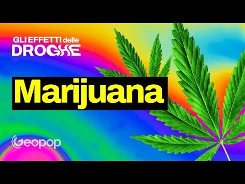 Scopri come il consumo eccessivo di cannabis può provocare il cannabismo