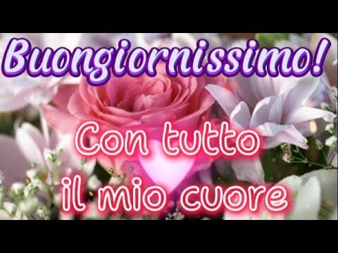 10 Frasi Simpatiche da Condividere sulla Bilancia