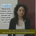 Ruolo dell’antitransglutaminasi IgA nella diagnosi della celiachia