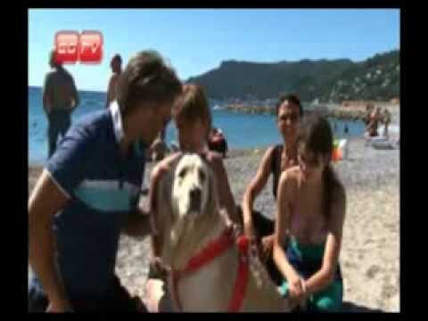 Spiagge libere per cani in Liguria: la guida completa