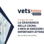 Cause e Rimedi per l’Infiammazione del Meato Urinario