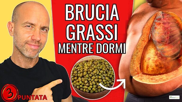 Alimenti Senza Fibre: Guida Completa e Consigli Essenziali