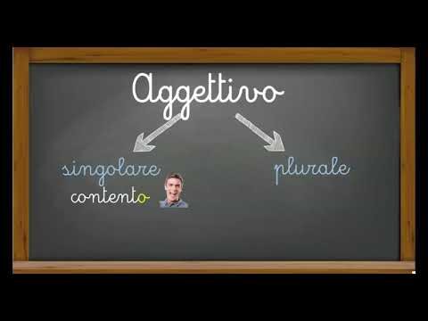 Top 10 Aggettivi con la T: Elencazione Ottimizzata