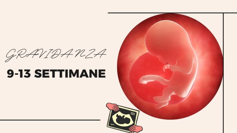 Guida all’uso del calcolatore di lunghezza fetale