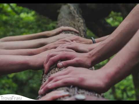 Frasi sulla bontà d’animo: ispirazioni per vivere con compassione