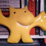 Scopri il potere della risonanza magnetica: addome e testa fuori con un solo esame!