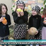 Plaunac 20 mg: Guida ottimizzata all’uso