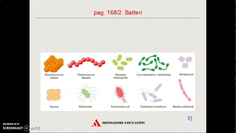 Contaminazione Biologica: Minacce e Soluzioni