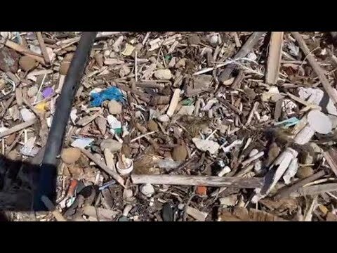 Spiaggia libera lungomare di Sabaudia: guida completa