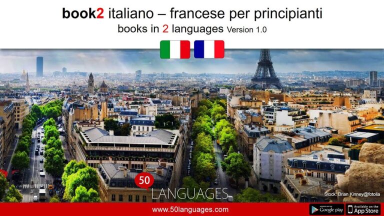 Corso di Lingua Francese: Ottimizzazione e Concisione