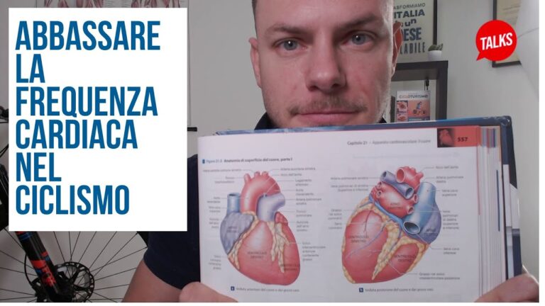 Integratori per ridurre i battiti cardiaci