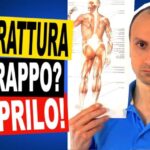 Il prezzo sorprendente dell’anello Kirkos: una scelta di stile a portata di tutti!