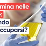 Scopri il potere della risonanza magnetica: addome e testa fuori con un solo esame!