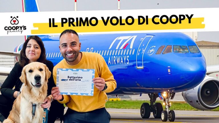 I cani in aereo: come aiutarli a non soffrire