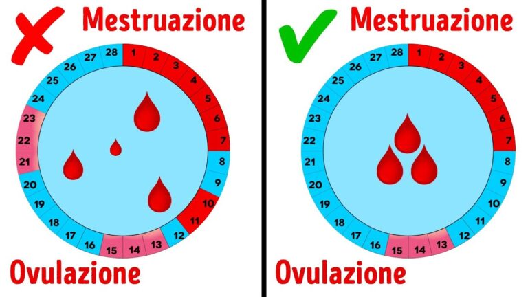 Sei Incinta e Prendi la Pillola: Avviene il Ciclo?