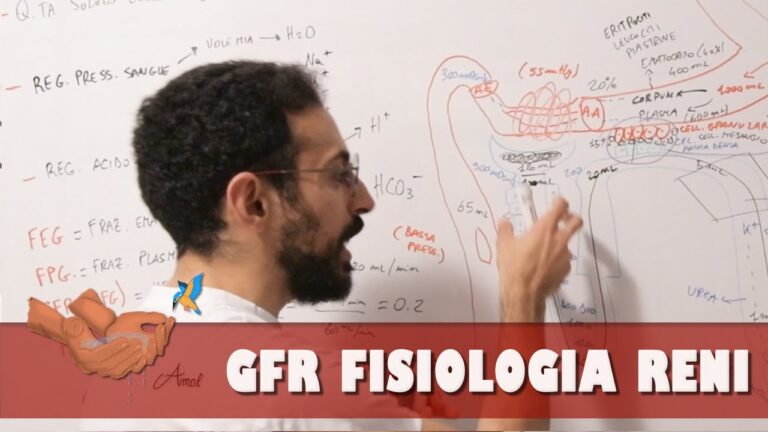 Calcolo Ottimale della Velocit&agrave; di Filtrazione Glomerulare