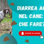 Cisti alle Dita delle Mani: Cause, Sintomi e Trattamenti