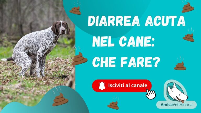 Rimedi efficaci per la diarrea liquida come acqua