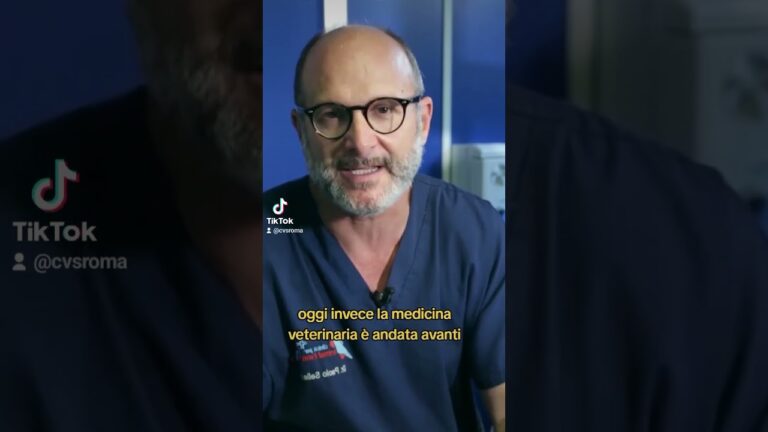 Trattamento della dermatite nei conigli: guida completa
