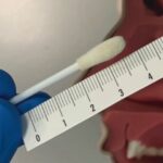 Proteine per aumentare di peso