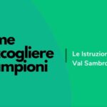 Cibi Consigliati per Combattere il Virus Intestinale