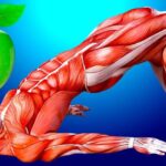 Come sopravvivere a lunghe astinenze dal cibo